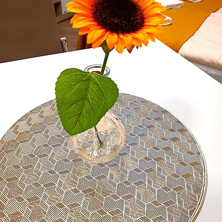 Apartament Kwiatek Przy Centrum, Ogrod, Grill, Blisko Wyciagi I Szlaki Szklarska Poręba